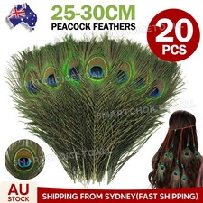 20pcs 25-30cm Natural Genuine Peacock Eye Feathers Vase Home Decor DIY Craft