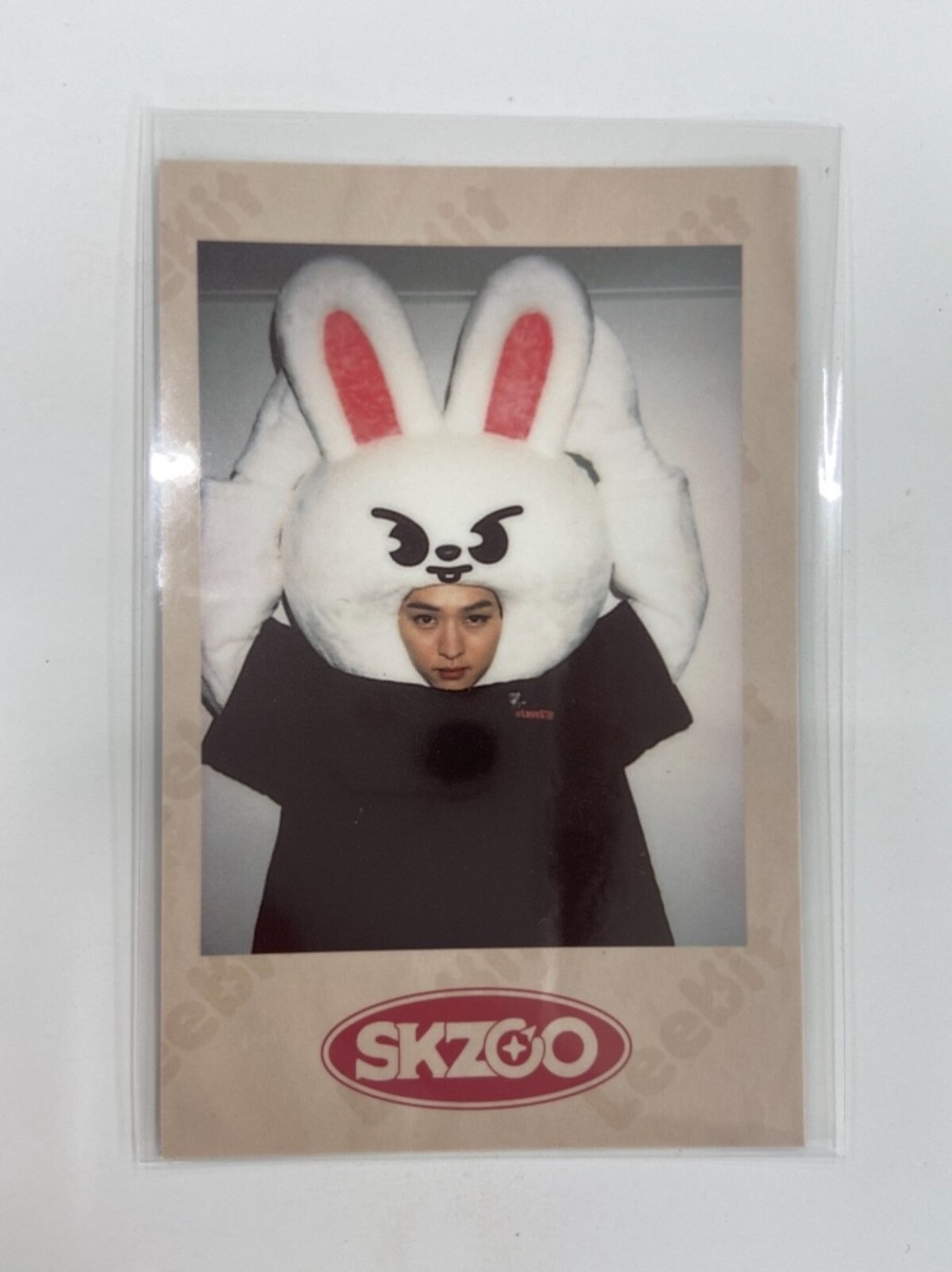 アイエskzoo ポラロイド Stray Kids スキズ Stray Kids skz