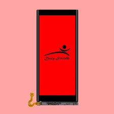 Long Lasting 2445mAh Sub Li ion Battery for Samsung Galaxy Z Fold 2 5G SM-F916U