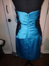 David's Bridal Prom dress/Bridesmaids Dress