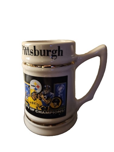 Pittsburgh Steelers 20oz Insulated Tumbler 2 Pack Cups Drinking Cup Mug  FAST SHP | eBay
