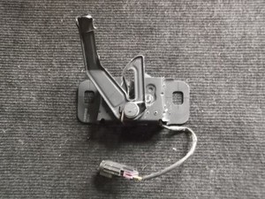 OPEL INSIGNIA A G09 2009 Motorhaubenschloss 13309882