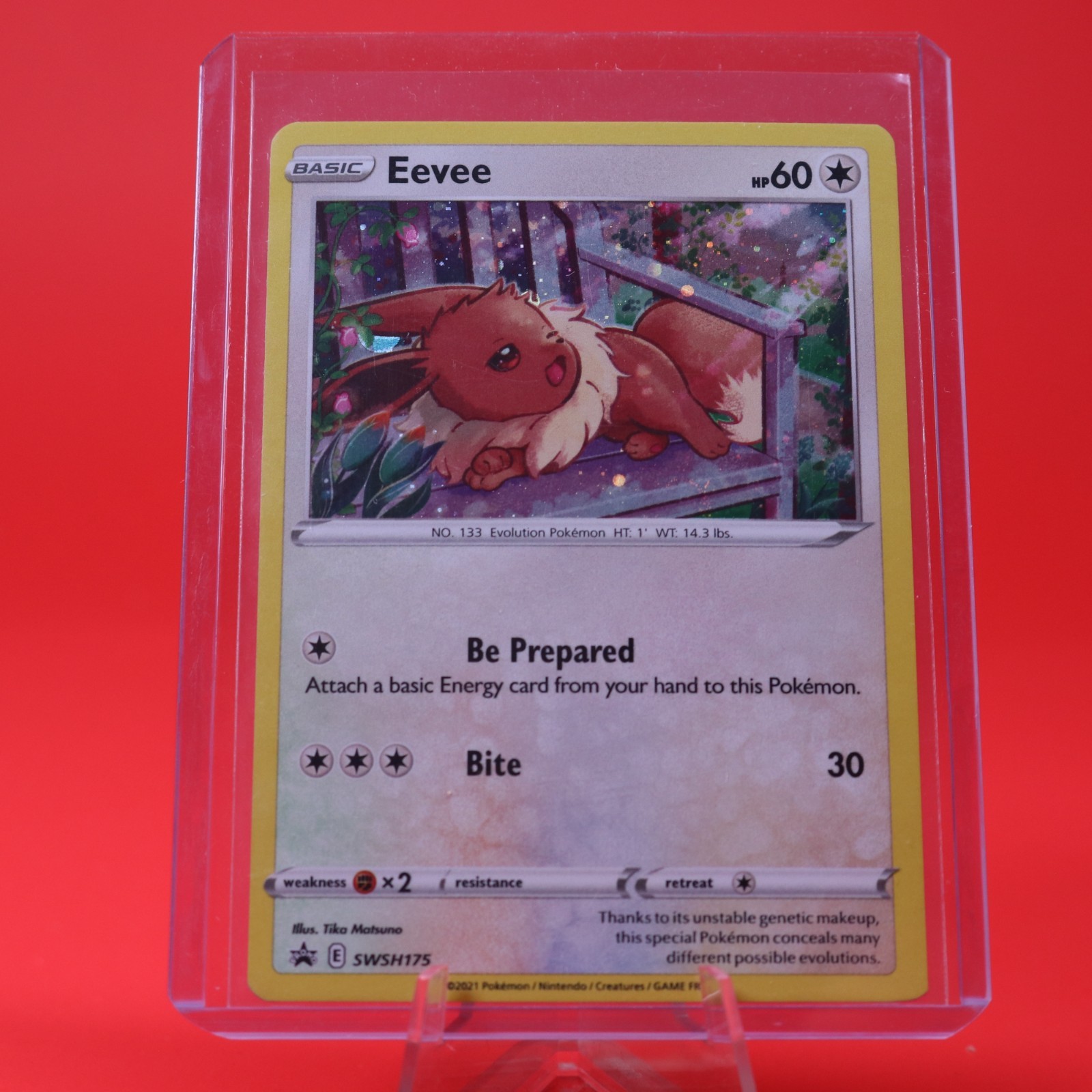 Pokémon TCG Sword & Shield Black Star Promo SWSH175 Eevee