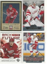  2012-13 Limited Back To The Future #BTFLS Nicklas Lidstrom/Brendan Smith 39/199