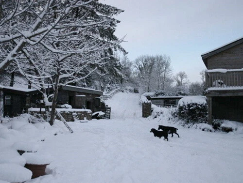 Pest Grade Diatomaceous Earth - Image 4 of 4