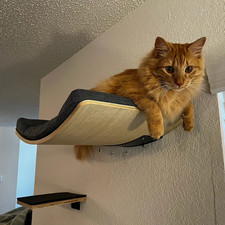 Indoor Wall Mounted Cat Shelf and Soft Cushioned Perch and Cat Furniture