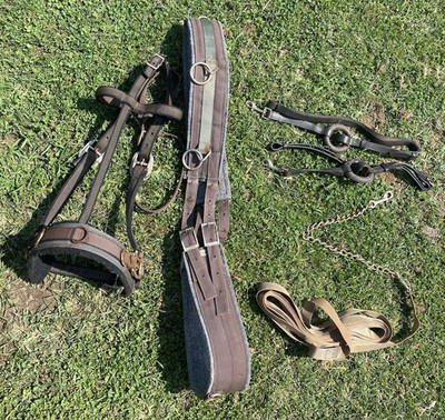 Used horse  lunging/training set w/surcingle, caveson, side reins, lunge line