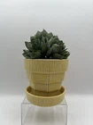 McCoy Pottery Planter W Saucer Vintage Flower Pot Yellow Basket Weave