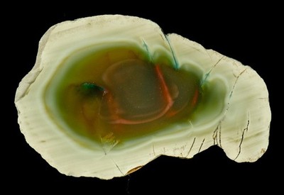 Royal Imperial Jasper / Jaspis - Mexiko