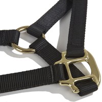 Intrepid International Nylon Miniature Horse Halter, Black, Mini Intrepid International Nylon Miniature Horse Halter, Black, Mini