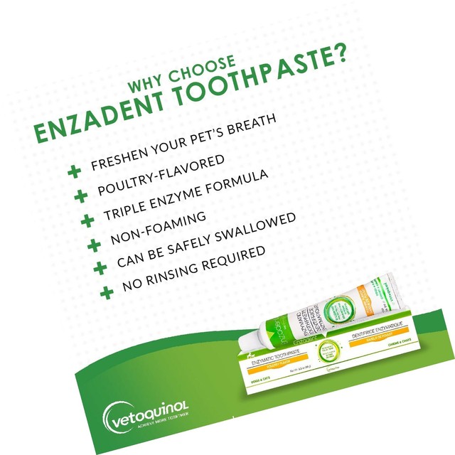 Vetoquinol Enzadent Enzymatic Toothpaste for Cats