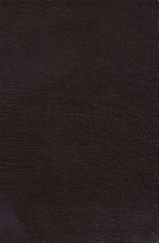 Charles Stanley Life Principles by Brian Tracy and Sally Ann Wright (2005, Bonded Leather)