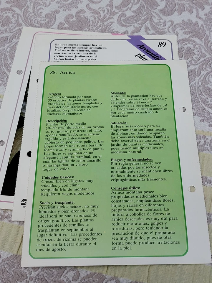 COLECCIONABLE TUS PLANTAS GRECA SARPE FICHEROS PRACTICOS IDIOMA CASTELL ANO 1985 - Imagen 4 de 4