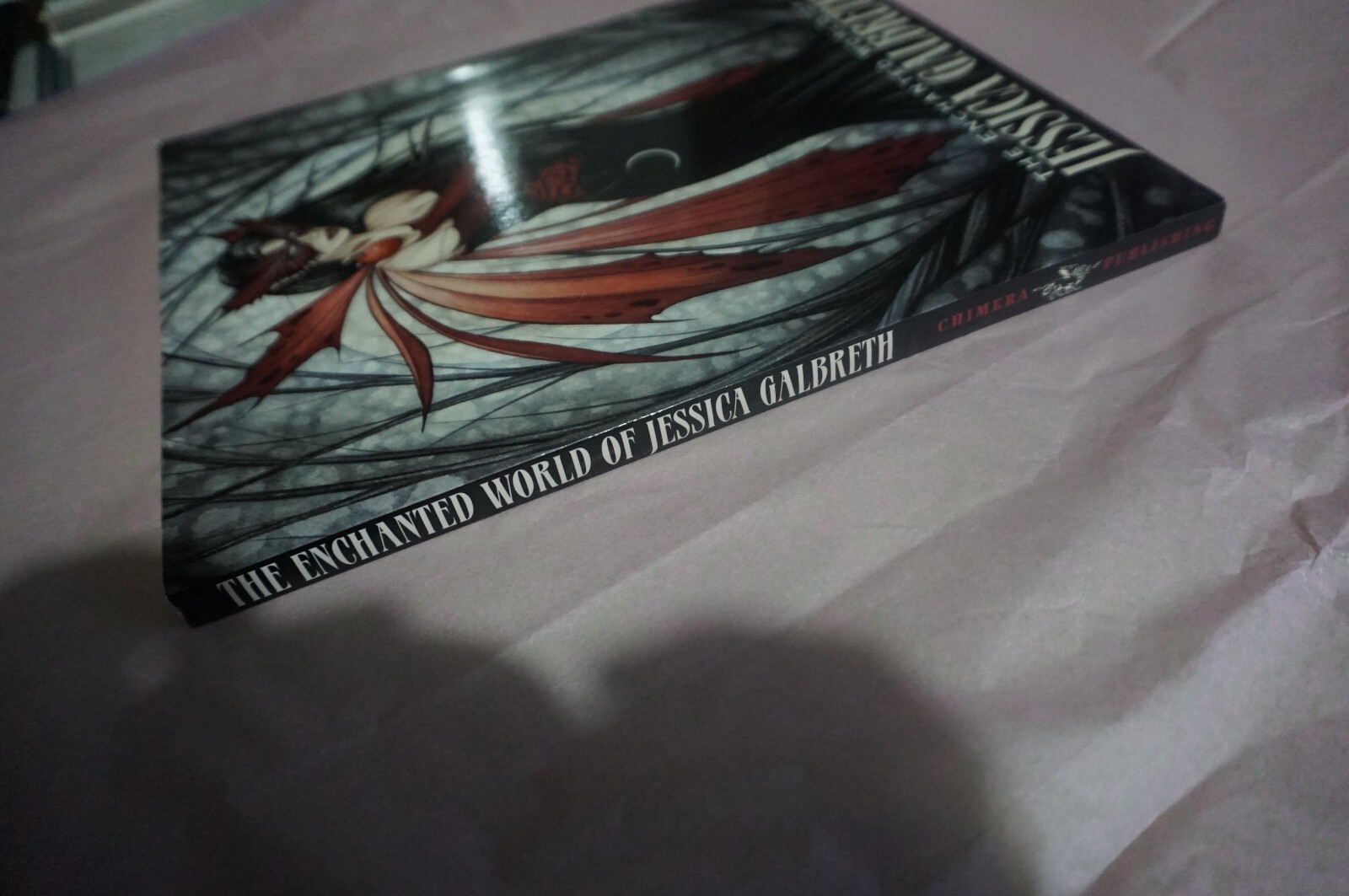 The Enchanted World of Jessica Galbreth  by Jessica Galbreth Paperback image 4