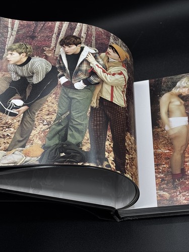 Anthony Goicolea FICTIONS Limited Edition mit CDRom Gay Interest TOP - Bild 7 von 11