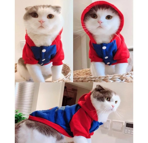 Traje Perro Pequeño mini o gato Superman  Con Capucha talla Xs