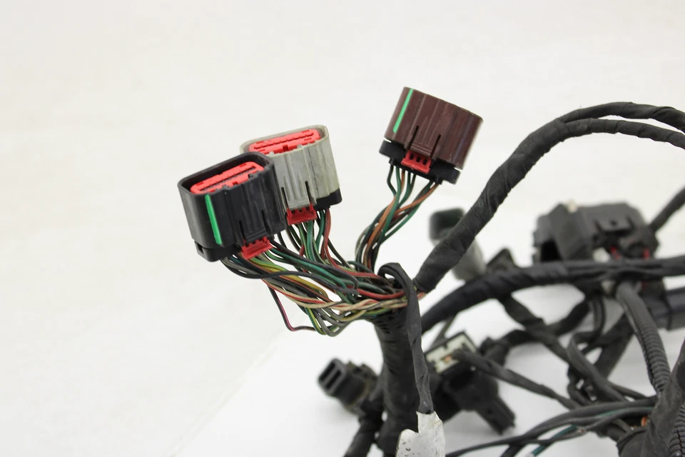 2018-2020 Harley Softail Man Wiring Harness With ABS - Image 2 of 4