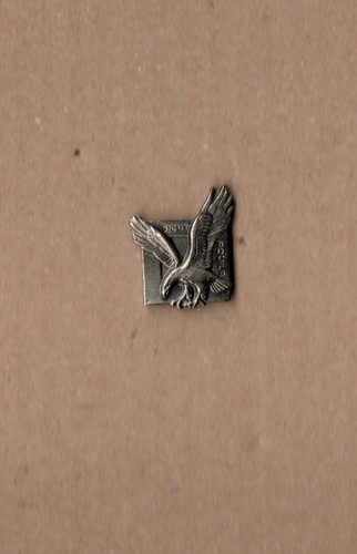 pin's armée commando air /
