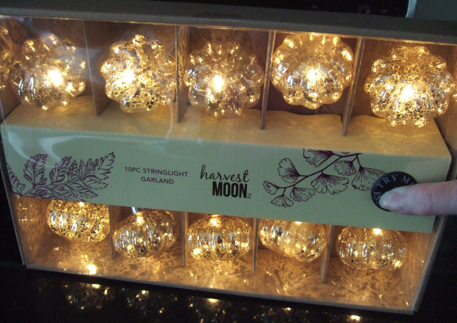 NIB Harvest Moon 10pc Crackle Glass Pumpkin String Lights Garland