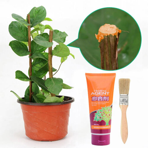 200g Plant Grafting Pruning Sealer Bonsai Cut Wound Paste Tree Repair Ointment