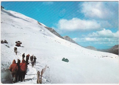 MARMOLADA - TRENTO - SUMMER SKI SCHOOL -95240-