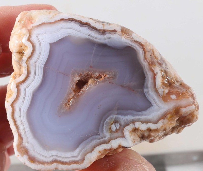 Morocco Agate lapidary 6.5 oz  Nodule faced rough lot Ar