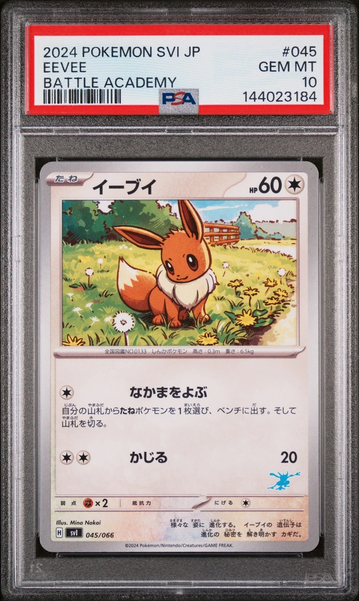 【PSA10】イーブイ SVI バトルアカデミー 045/066 Eevee 045/066 Battle Academy for sale | eBay