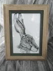 Original pen and ink  drawing of a hare watercolour paper in frame