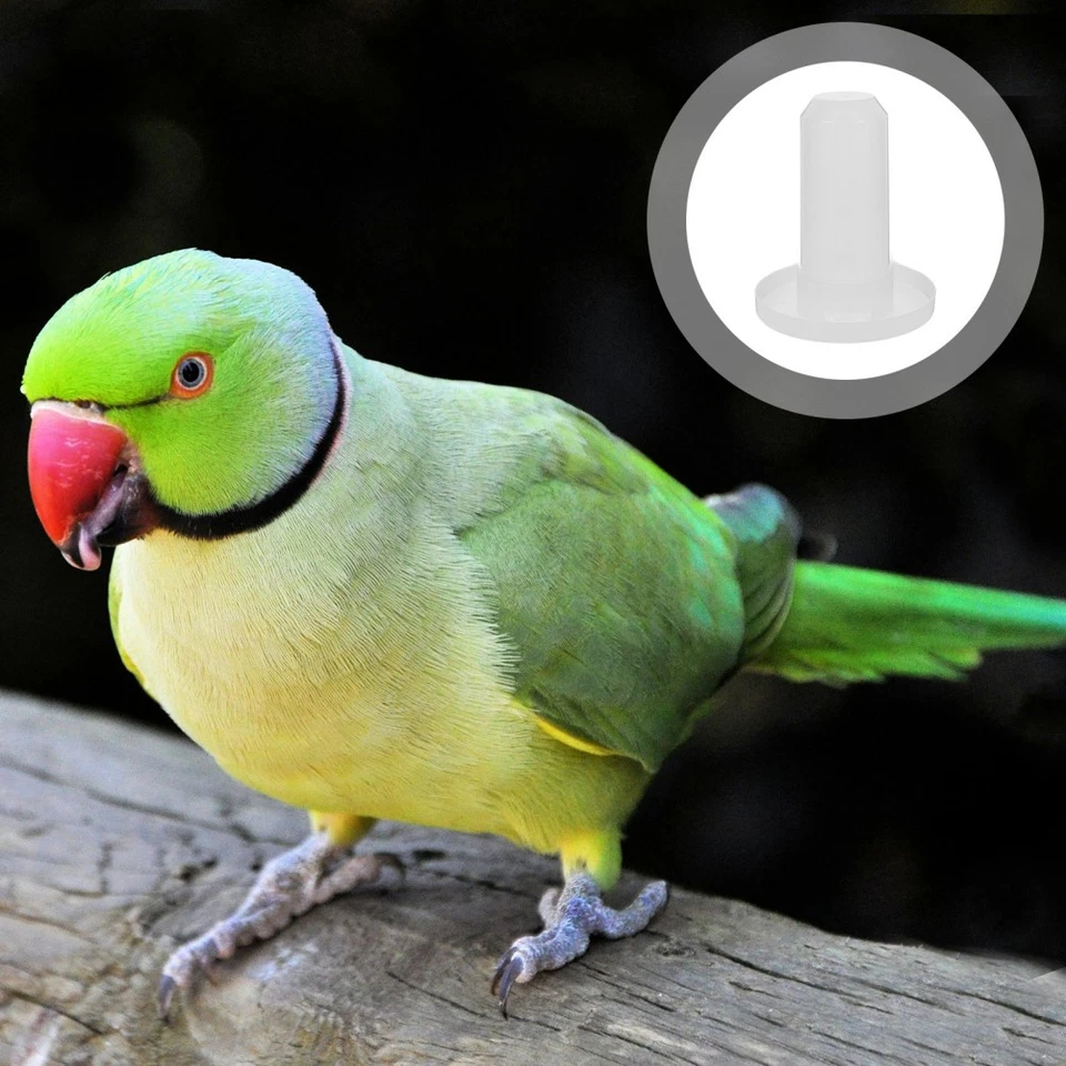 Futterautomat Enten Automatischer Vogelfutterspender Kaninchenfutterautomat - Bild 2 von 4