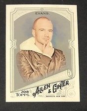 2018 Topps Allen & Ginter Glossy Silver #260 Sean Evans Webshow Interviewer