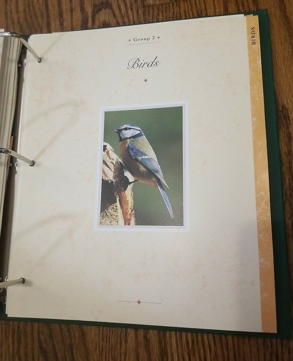 The Illustrated Animal Library Exclusive Edition Mammal The Illustrated Animal Library Exclusive Edition Mammal