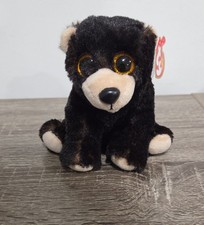 TY Classic Plush KODI the Alaskan Kodiak Black Bear 6"