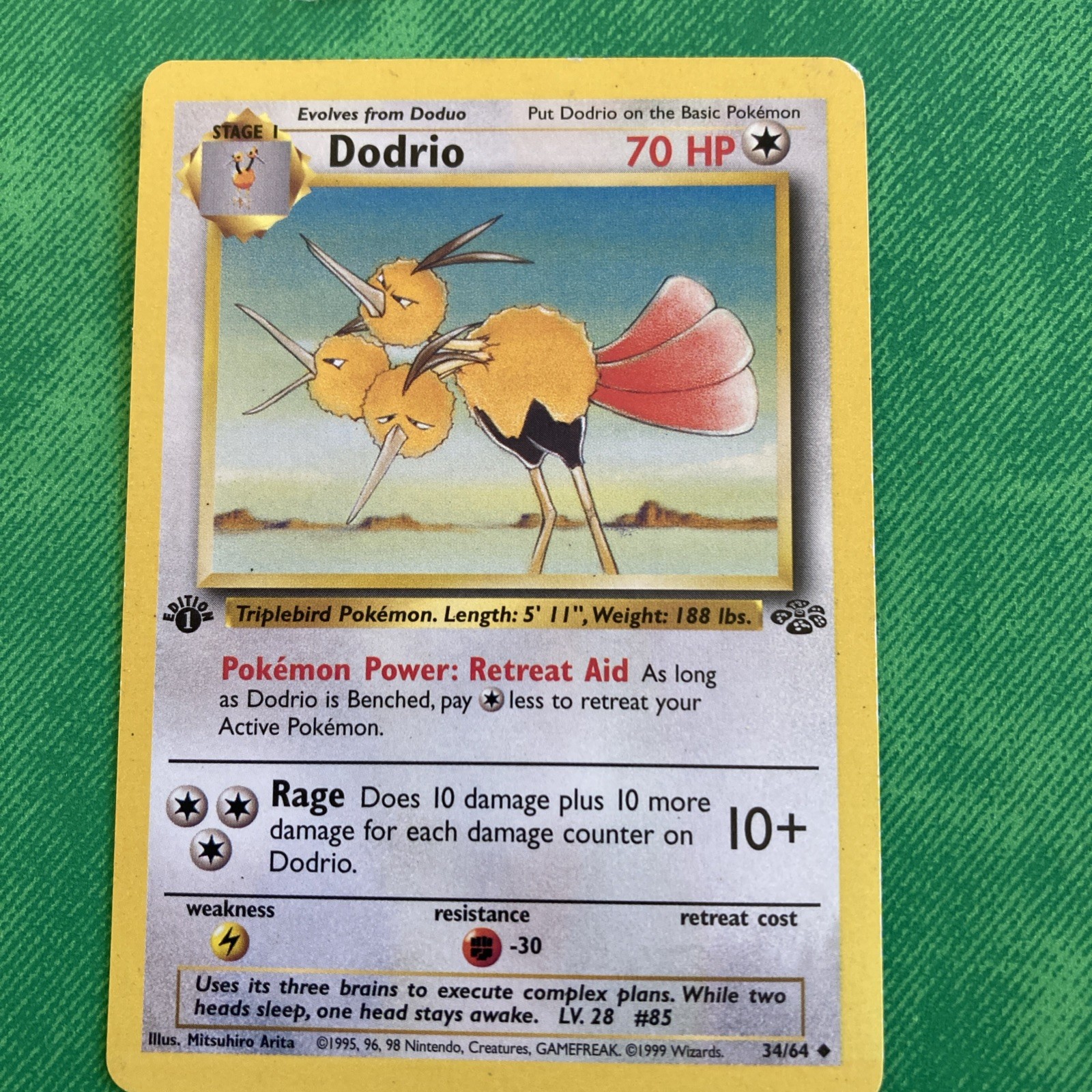 Pokemon TCG Dodrio Jungle 1st Edition Uncommon 34/64 NM/Mint Condition