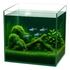 Würfel Aquarium 35x35x35 Becken Glasbecken 35 Glasaquarium Garnelen Nano Cube