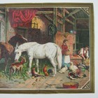 Bild 8 von 15