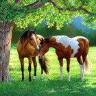 Bild 172 von 206