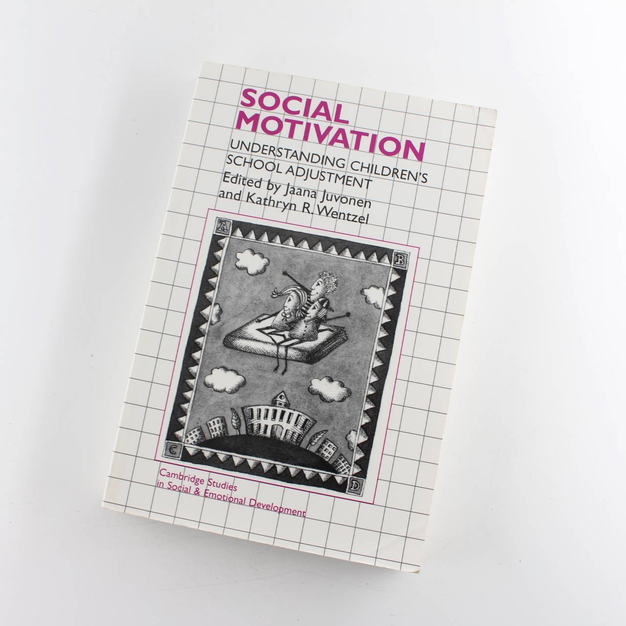 Social Motivation: Understanding Children's School Adjustment: Cambridge Studies