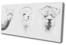 Llama Alpaca Drawing Simple Animals SINGLE CANVAS WALL ART Picture Print