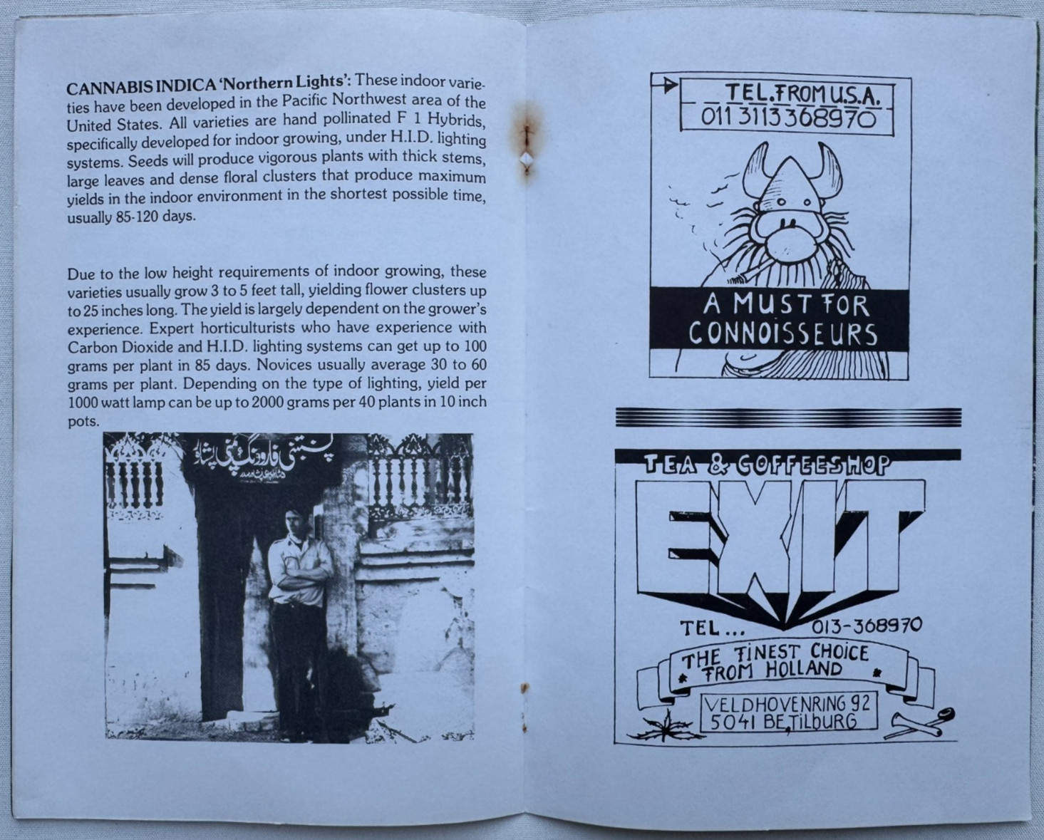 "씨앗 은행" 소장 가치가 높은 희귀본 1983년 메리 제인 씨앗 카탈로그 5