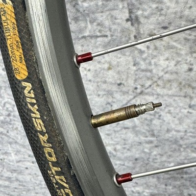 Vintage Campagnolo Chorus 700c TUBULAR Rear Wheel Freehub Mavic