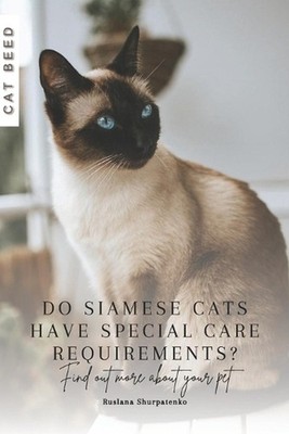 Do Siamese cats have special care requirements?: Find out more about your pet by
