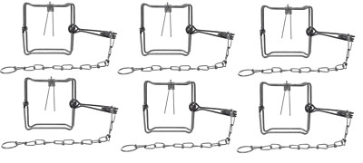 6 Bridger 5X5 (#150) Bodygripper Body Grip Animal Trap 6 Traps