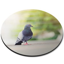 Round Mouse Mat City Pigeon Bird Pigeons Birds #50536
