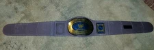 Vintage 1998 WWF/WWE Purple Intercontinental Championship Kids Foam Title Belt