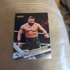 2017 Topps WWE Then Now Forever #166 Andrade 
