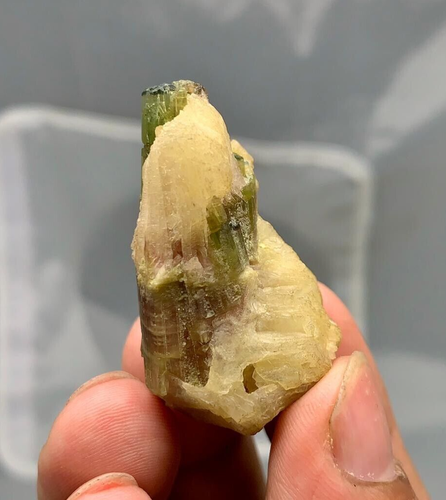 26GM | Mazzo di Cristalli di Tormalina A+++Bi-Color con Esemplare di Cleavlandite | AFG - Foto 6 di 12