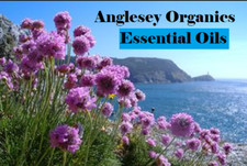 A-Z OF ESSENTIAL OILS 10ml unless otherwise listed