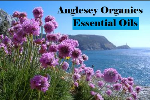 A-Z OF ESSENTIAL OILS 10ml unless otherwise listed