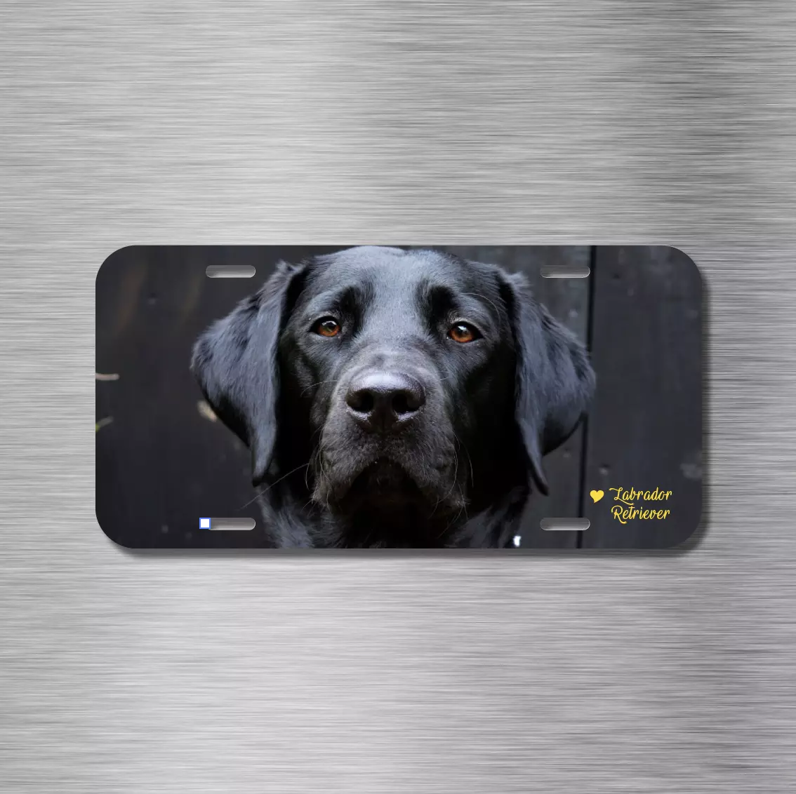 Labrador Retriever Black Lab Dog Puppy Vehicle License Plate Front