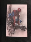 AMAZING SPIDER-MAN #33 VIRGIN DELL OTTO EXCLUSIVE SPIDERMAN 1